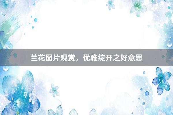 兰花图片观赏,优雅绽开之好意思