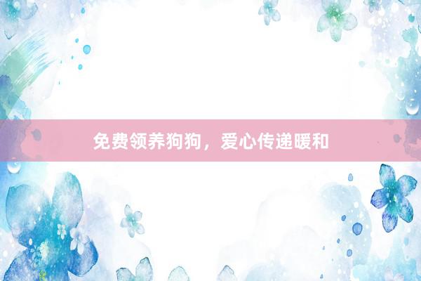 免费领养狗狗，爱心传递暖和