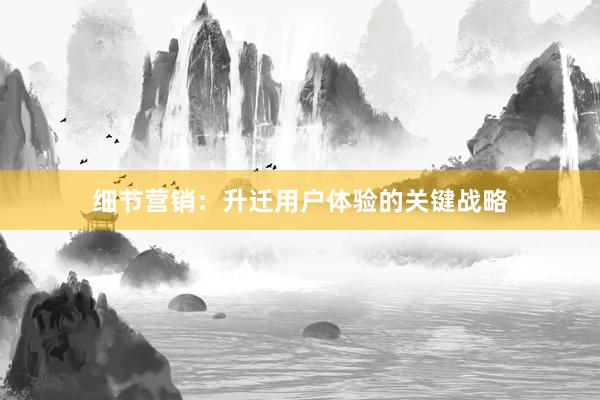 细节营销：升迁用户体验的关键战略